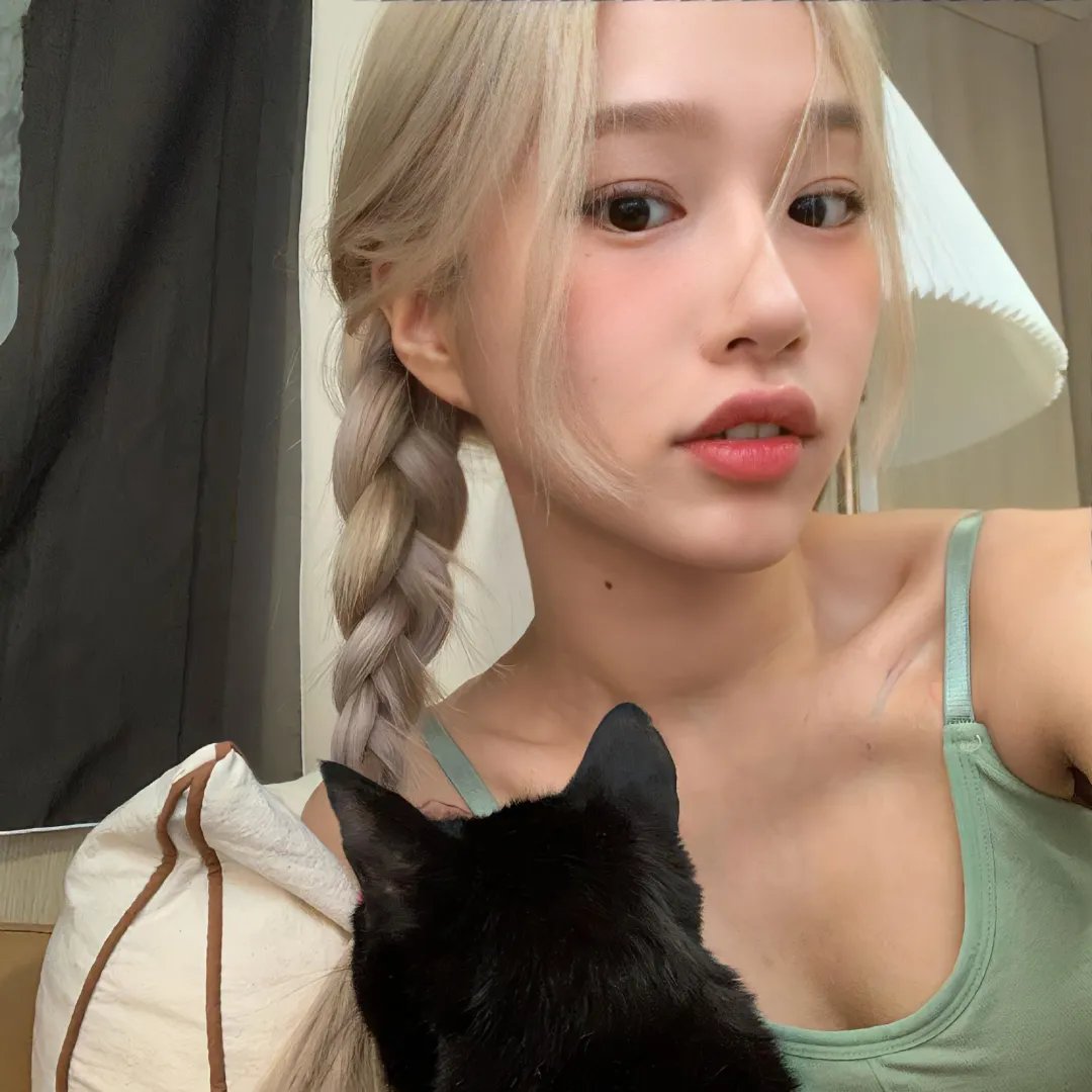 迷蝶